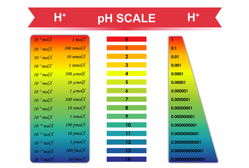 acidity alkalinity ph balance
