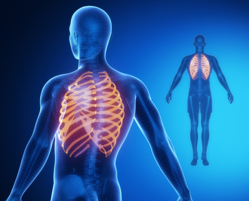 Rib Chiropractic benefits