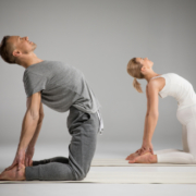 yoga chiropractic