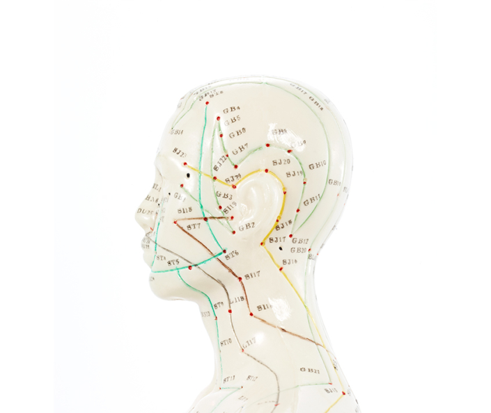 Edmonton Acupuncture Downtown Oliver Chiropractic Wellness Clinic